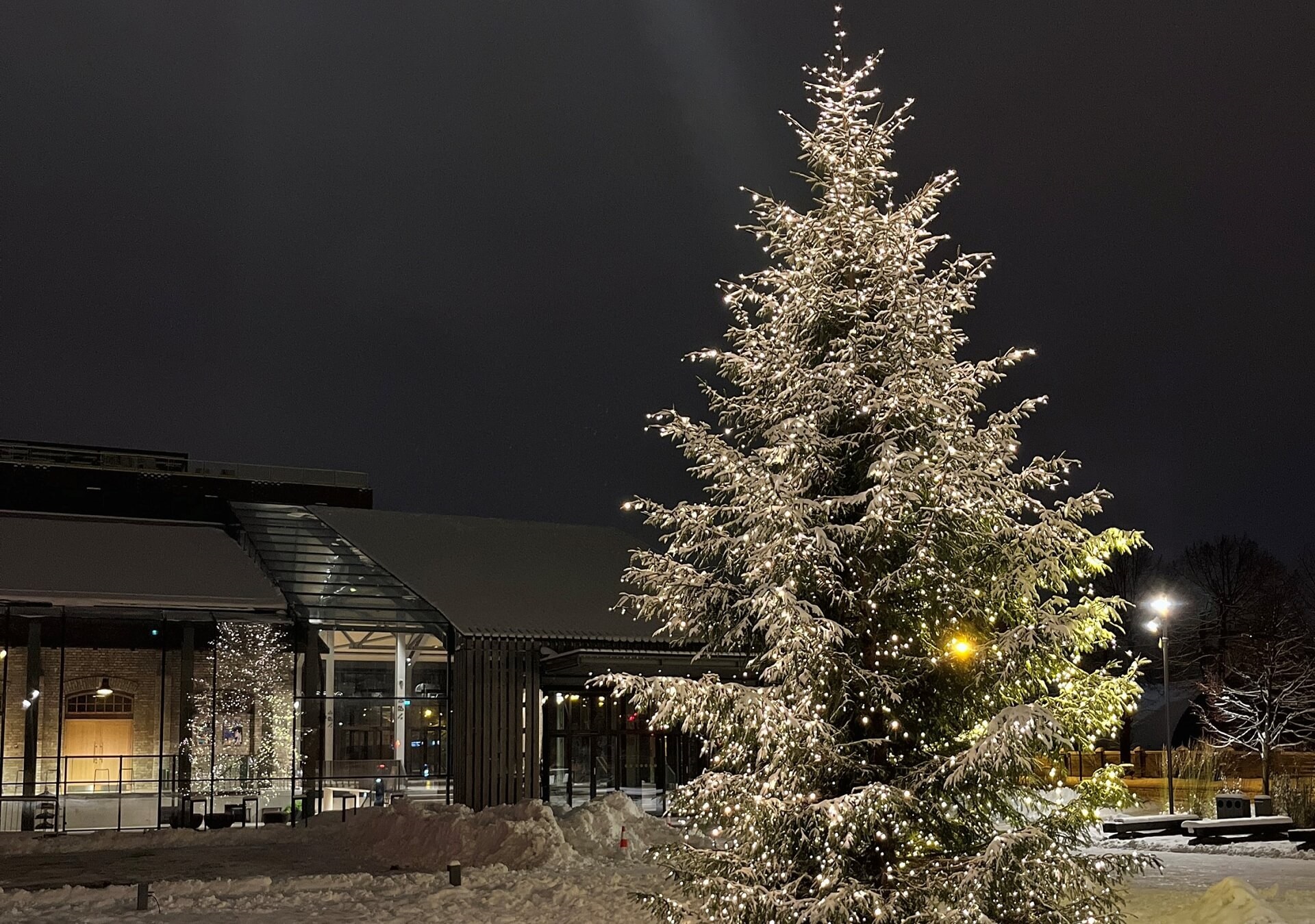 Pasākumi Hanzas Peronā decembrī