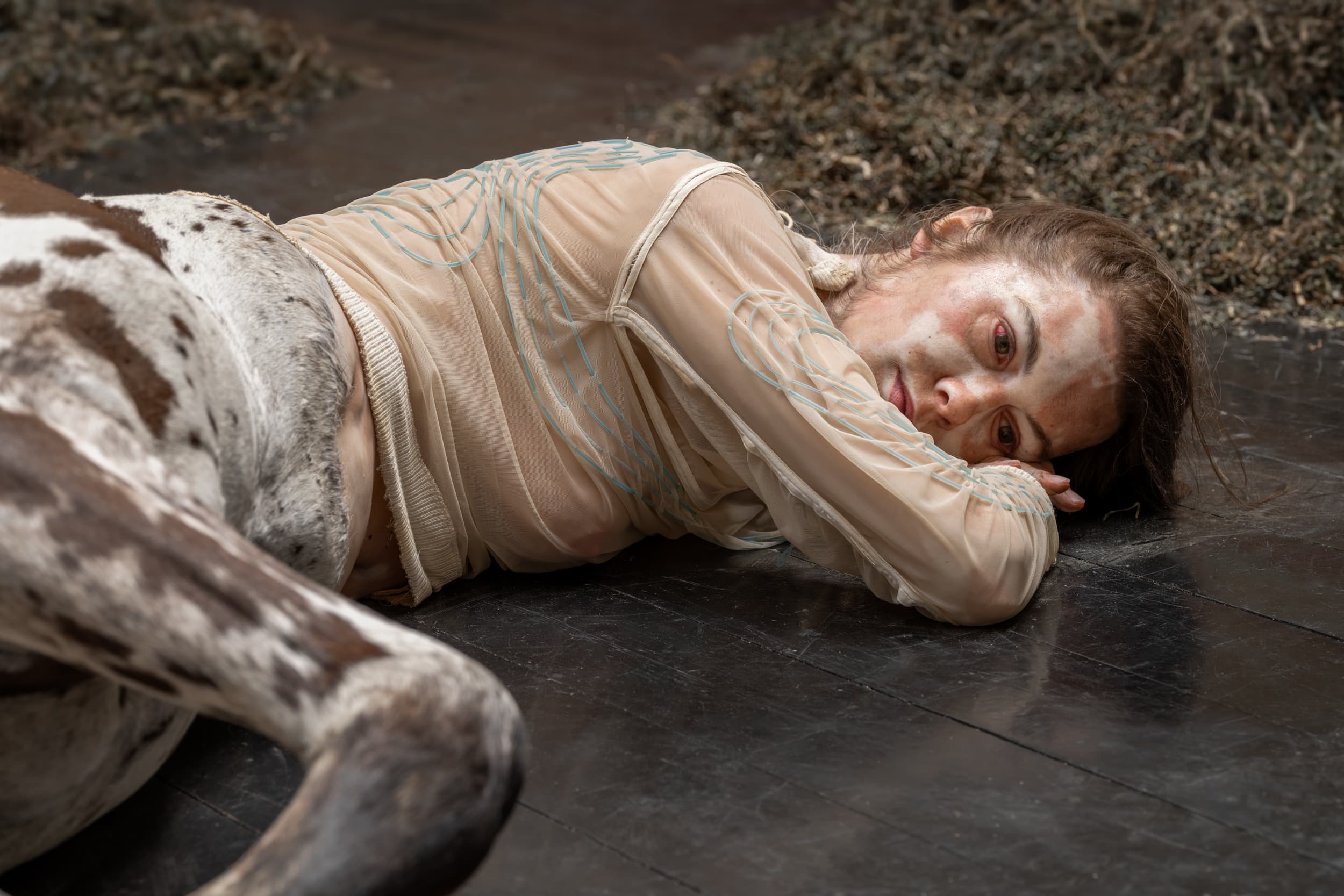 New Hanza birojā Venēcijas biennāles iespaidīgā kentauru instalācija pārradīta grandiozā izstādē