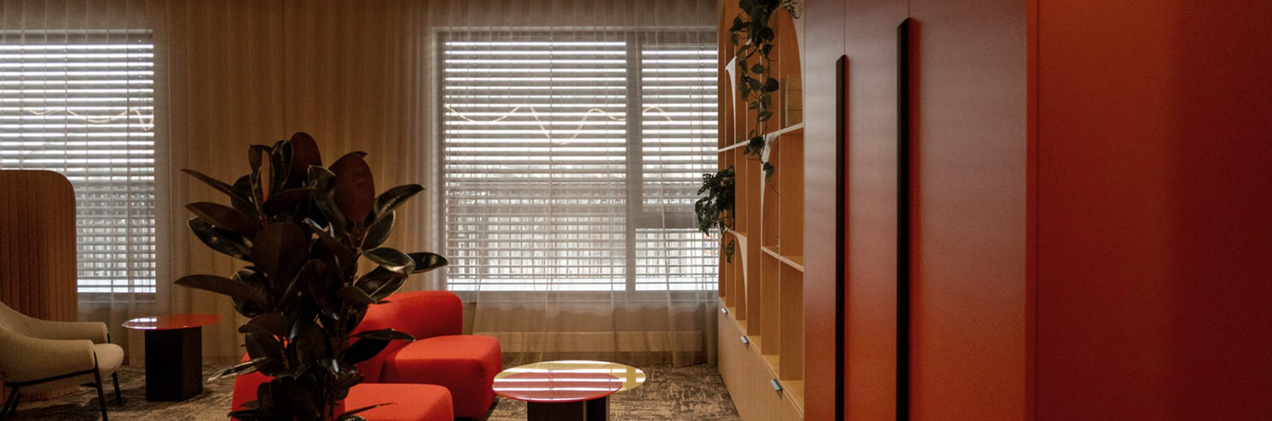 New Hanza M Tala Zaluzijas 1