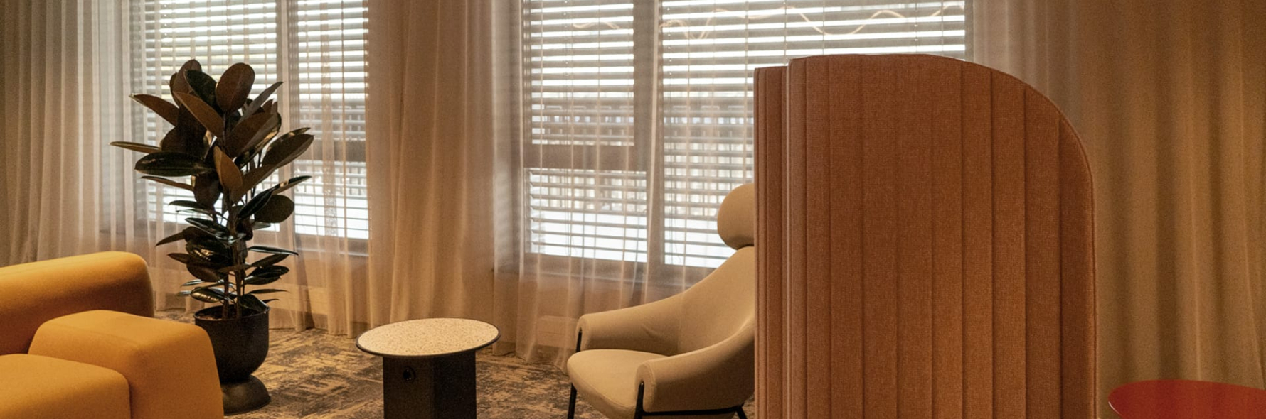 New Hanza M Tala Zaluzijas 2