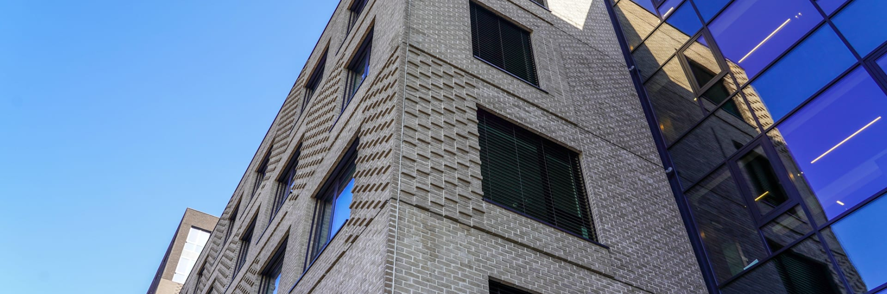 New Hanza M Tala Zaluzijas 4