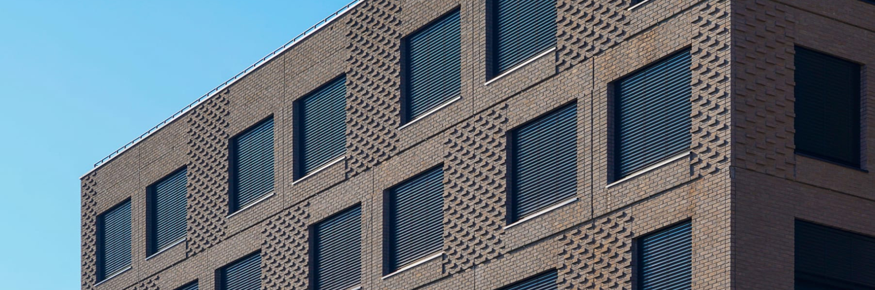 New Hanza M Tala Zaluzijas 6