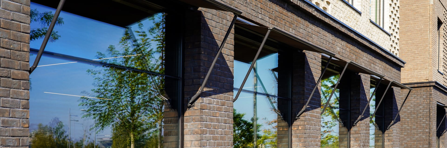 New Hanza M Tala Zaluzijas 7