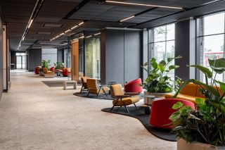 New Hanza M 1 Vestibils