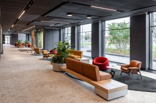 New Hanza M 1 Vestibils