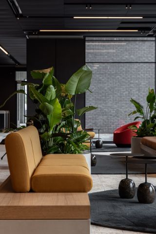 New Hanza M 1 Vestibils